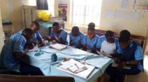Nurses in Zambia, HATW